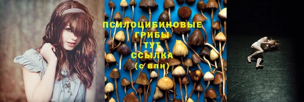синтетический гашиш Алексин